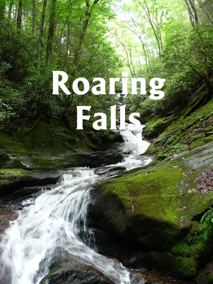 Roaring Falls 