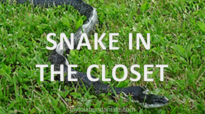 Have you ever had a snake in your closet or in your house?